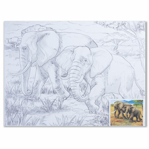 Холст на картоне с контуром BRAUBERG ART &quot;CLASSIC&quot;, &quot;Слоны&quot;, 30х40 см, грунтованный, 100% хлопок, 190631