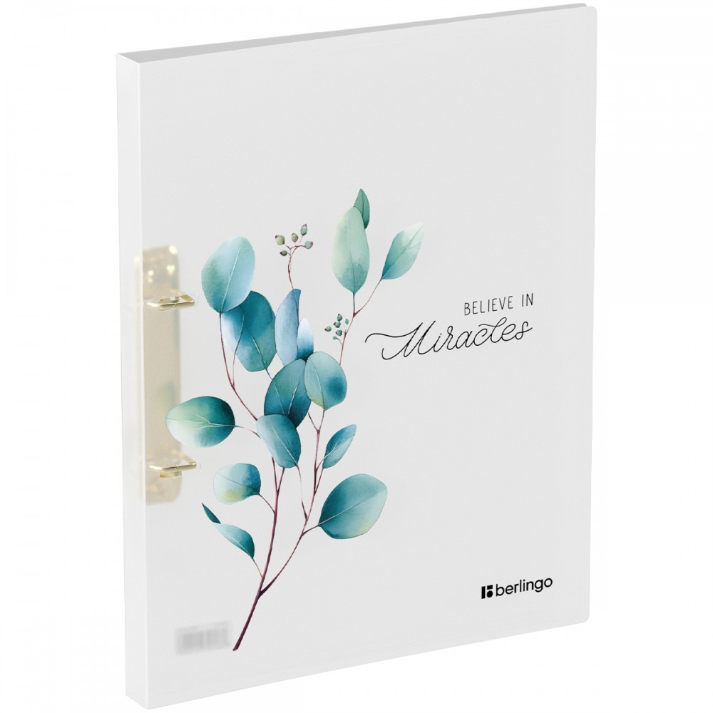 Папка на 2 кольцах Berlingo &quot;Spring&quot;, 24мм, 600мкм, с рисунком, D-кольца 384082 RB4_2D141