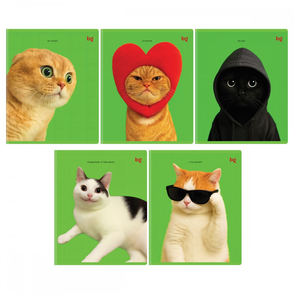 Тетрадь 48л., А5, клетка BG &quot;Во как!&quot;, выб. лак 385980  Т5ск48_вл 06841