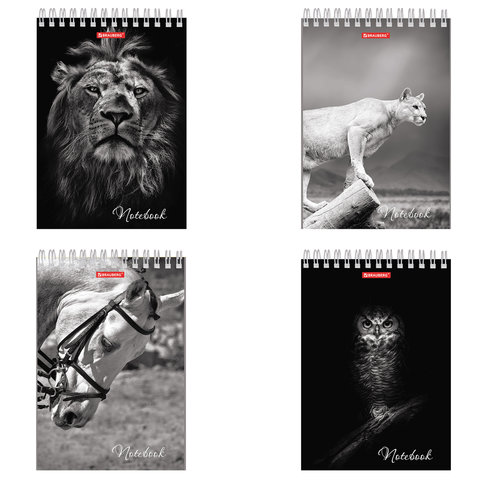 Блокнот А5, 60 листов, гребень, жесткая подложка, клетка, BRAUBERG "Грация", 146х206 мм, 129810