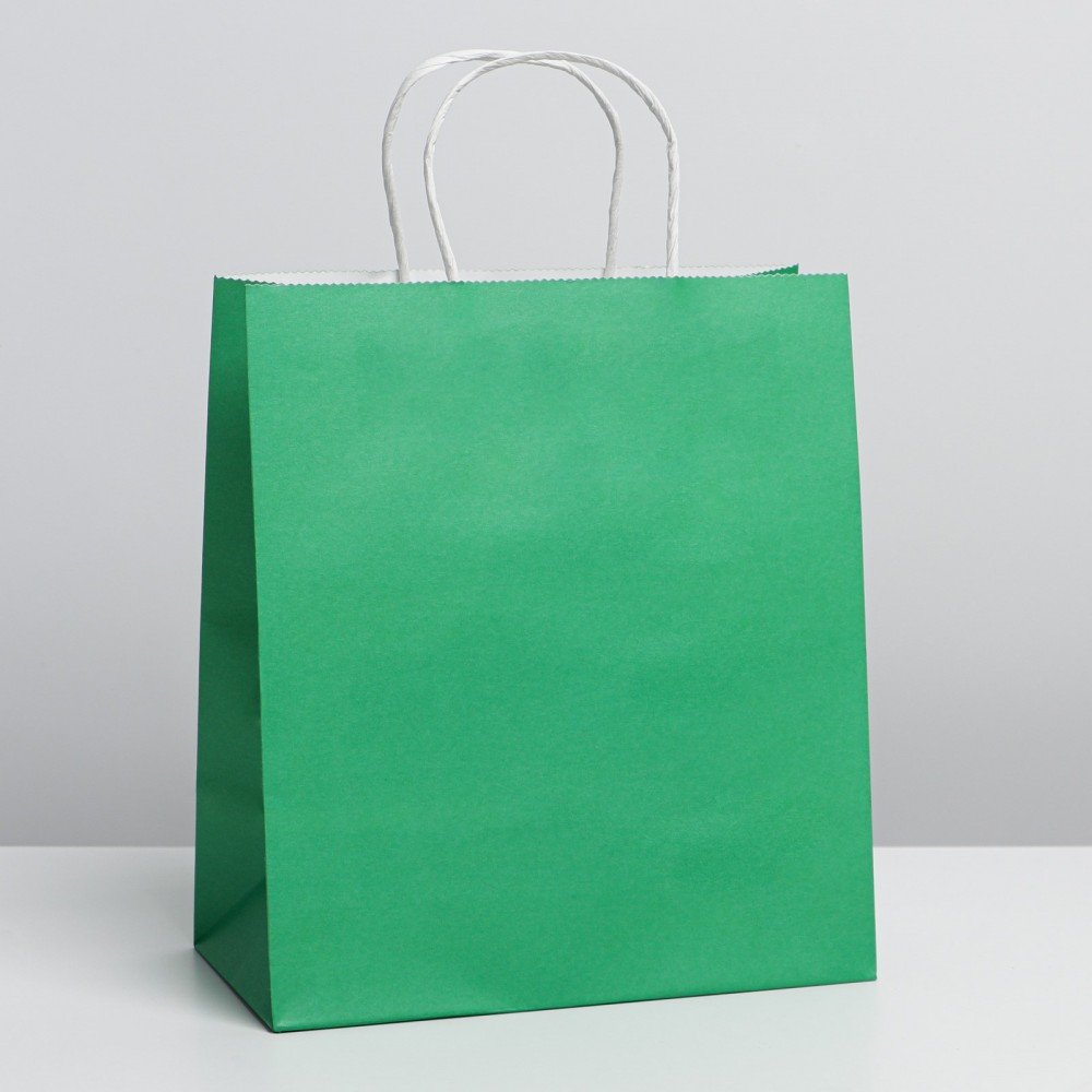 Пакет крафтовый Green, 22 × 25 × 12 см   7098733