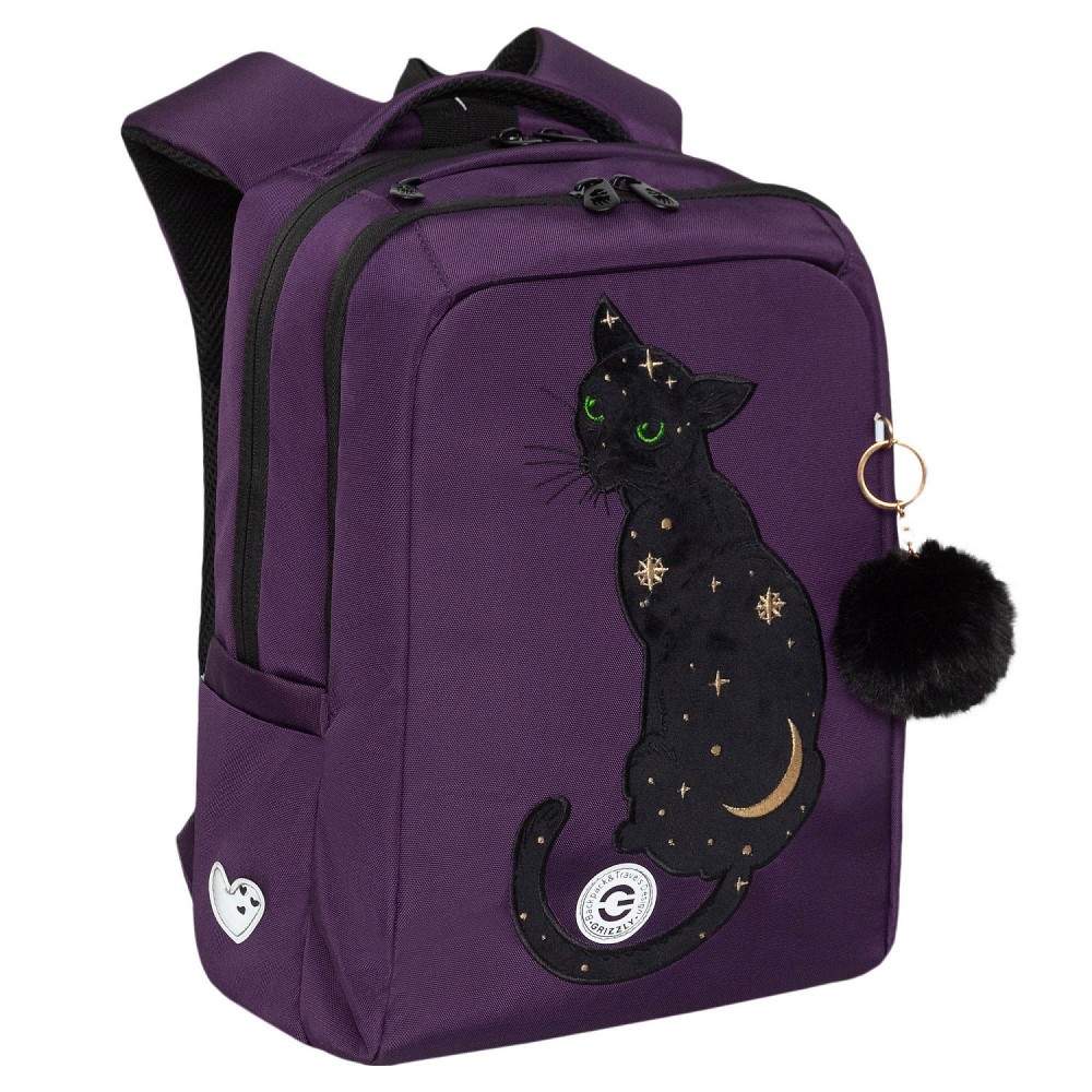 Рюкзак школьный (/1 фиолетовый) RG-466-6