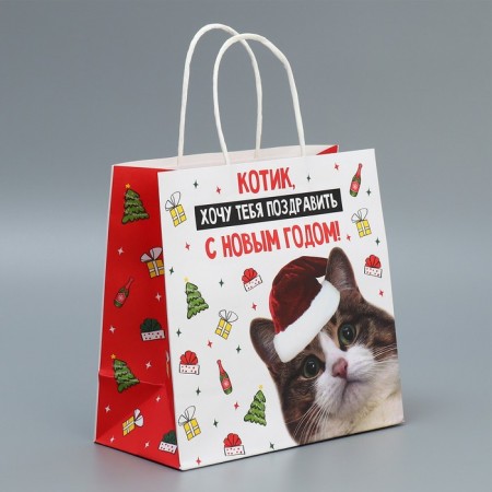 Пакет подарочный крафтовый «Котик», 22 × 22 × 11 см  9524134